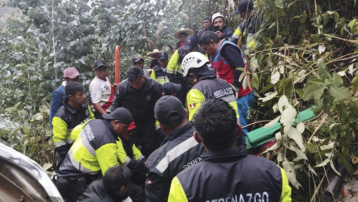 Imagen del momento de atención del equipo SAMU atendiendo a los accidentados en medio de un bosque de eucaliptos.