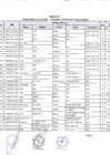 Vista preliminar de documento Anexo N° 161-2017-DV-PE