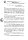 Vista preliminar de documento RG-195-2024