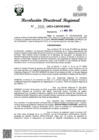 Vista preliminar de documento RDR Nº 1628-2024-GRSM-DRE