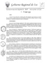 Vista preliminar de documento rer-317-2024-gore-ica-gr