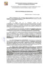 Vista preliminar de documento RG-169-2024