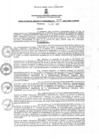 Vista preliminar de documento rgm3082023gmampmn
