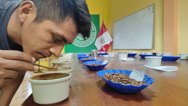 Vraem: Analizan calidad del café producido con asistencia de Devida