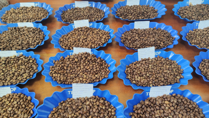 Vraem: Analizan calidad del café producido con asistencia de Devida