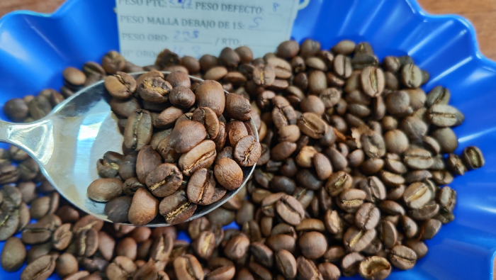 Vraem: Analizan calidad del café producido con asistencia de Devida