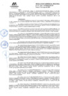 Vista preliminar de documento RGR GRI N° 113-2024