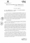 Vista preliminar de documento RESOLUCION SUB DIRECTORIAL ADMINISTRATIVA 119
