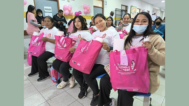 Semana de la Maternidad: establecimientos de salud de Lima sur promueven la salud y el bienestar de la gestante