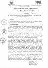 Vista preliminar de documento RESOLUCION DIRECTORAL ADMINISTRATIVA 535
