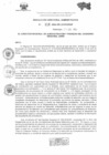 Vista preliminar de documento RESOLUCION DIRECTORAL ADMINISTRATIVA 616