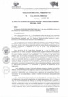 Vista preliminar de documento RESOLUCION DIRECTORAL ADMINISTRATIVA 711