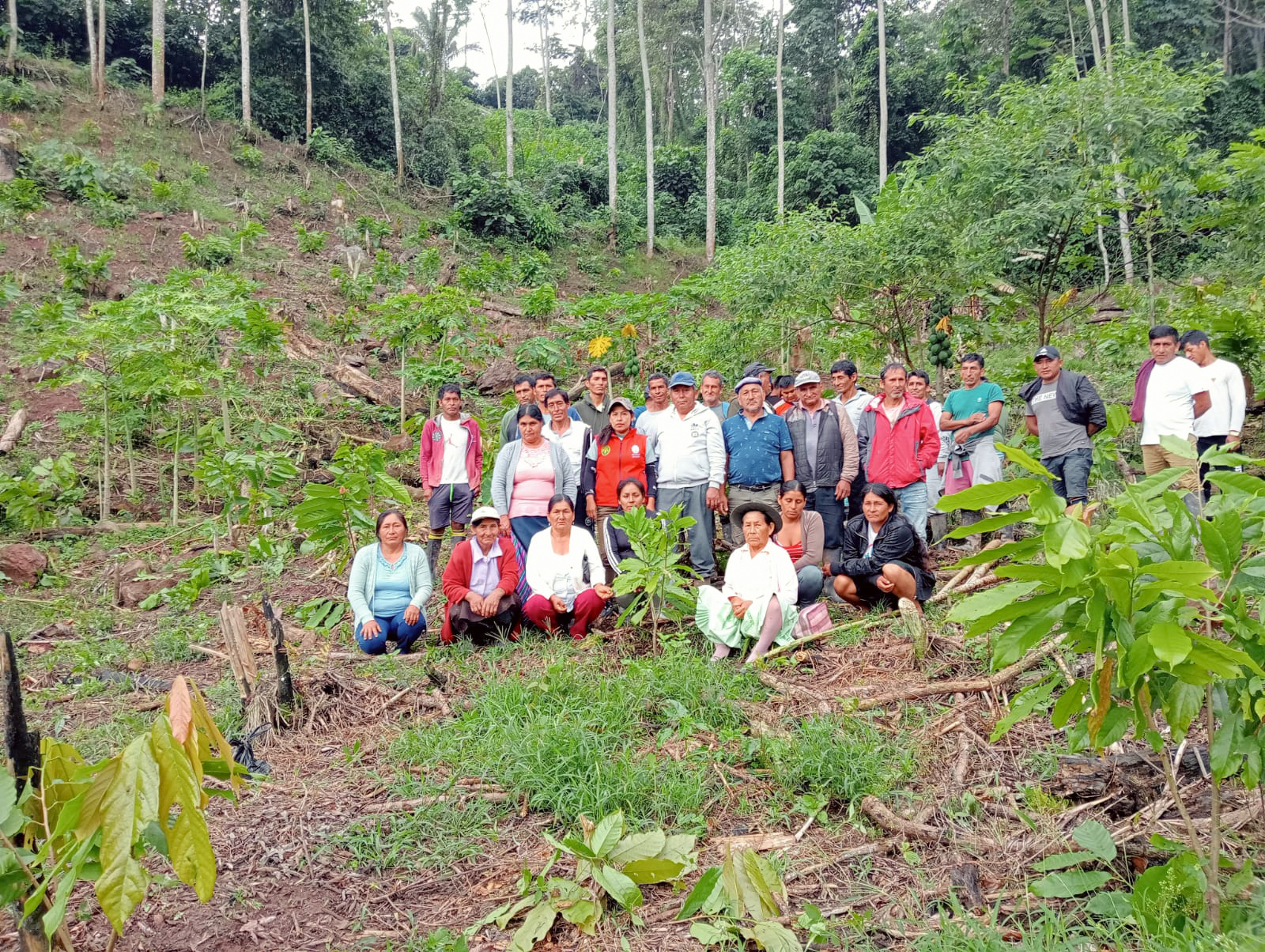 Familias cacaoteras fortalecen sus capacidades a través de ECAS