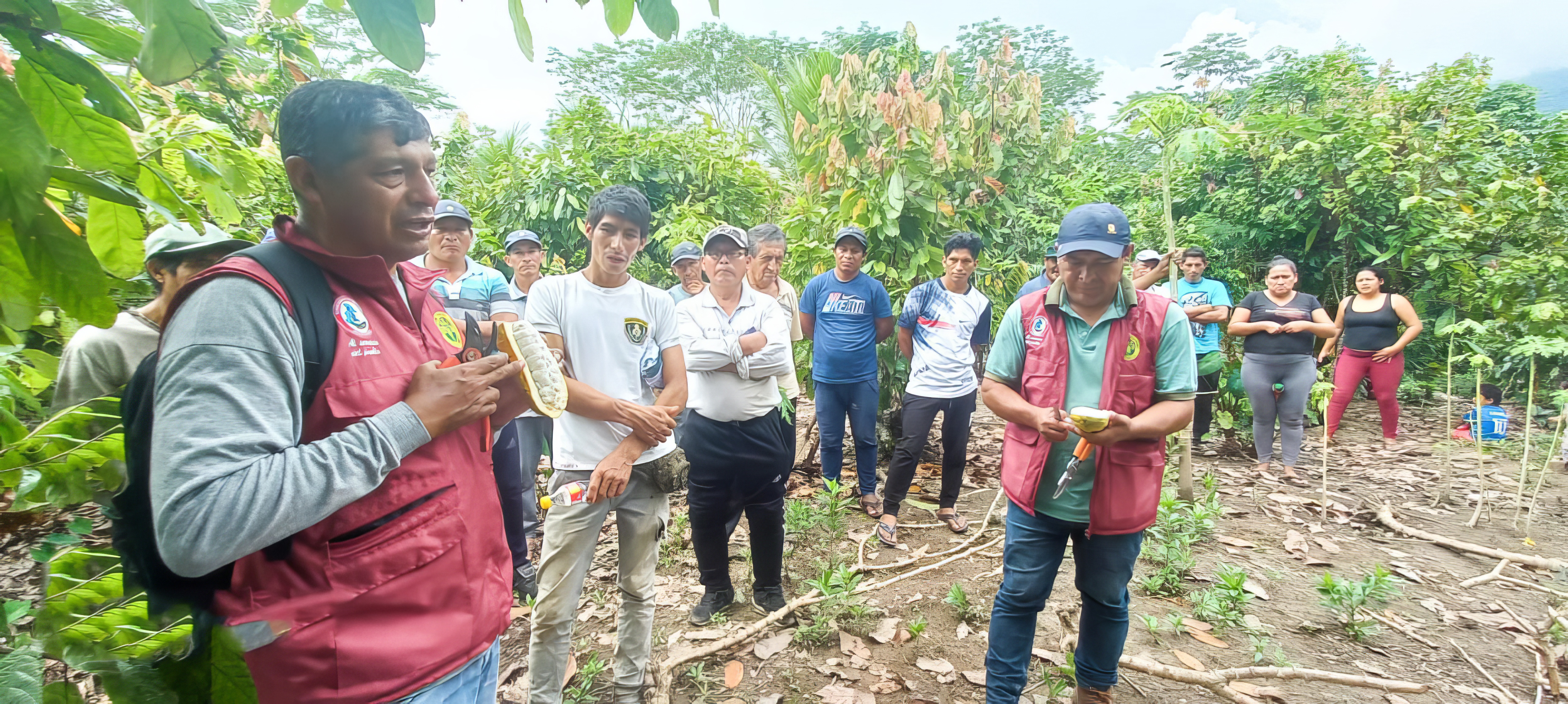 Familias cacaoteras fortalecen sus capacidades a través de ECAS
