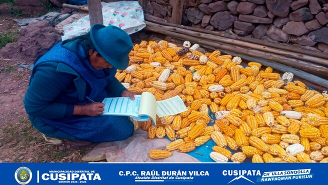 Los profesionales y tΓ©cnicos del proyecto "Cultivos Andinos" de la Sub Gerencia de Desarrollo EconΓ³mico estΓ‘n proporcionando asistencia tΓ©cnica constante en las comunidades del distrito de Cusipata.