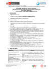 Vista preliminar de documento BASES - 0027