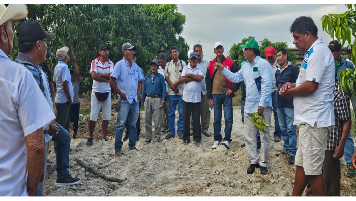 𝗣𝗥𝗢𝗗𝗨𝗖𝗧𝗢𝗥𝗘𝗦 𝗗𝗘𝗟 𝗩𝗔𝗟𝗟𝗘 𝗦𝗔𝗡 𝗟𝗢𝗥𝗘𝗡𝗭𝗢 𝗥𝗘𝗖𝗜𝗕𝗘𝗡 𝗖𝗔𝗣𝗔𝗖𝗜𝗧𝗔𝗖𝗜𝗢́𝗡 𝗘𝗡 𝗖𝗨𝗟𝗧𝗜𝗩𝗢 𝗗𝗘𝗟 𝗠𝗔𝗡𝗚𝗢