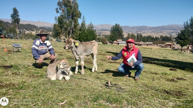 Inician gestiones para encaminar un proyecto de mejoramiento ganadero en la Micro Cuenca Cachi Alta