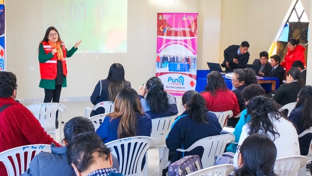 Estrategias para la reducción de anemia son abordados en reunión de la Instancia de Articulación Local - Puno