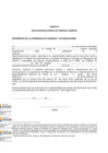 Vista preliminar de documento ANEXO IV