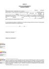 Vista preliminar de documento ANEXO VI
