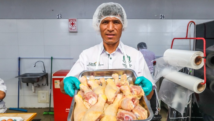Hoy el precio del pollo se cotizó a S/ 5.50 kilogramo en mercados mayoristas