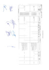 Vista preliminar de documento PLAN DE HOMOLOGACIÓN 2024