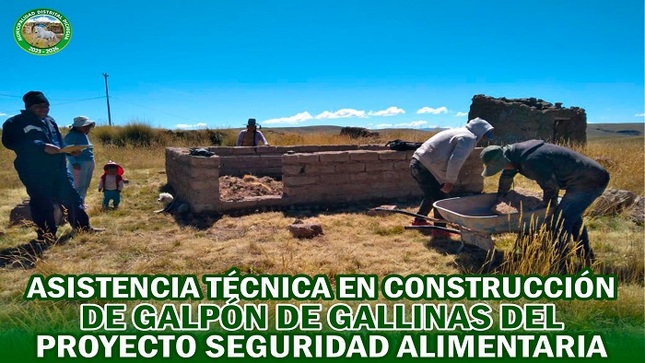 Asistencias Técnica en Construcción de Galpón de Gallinas