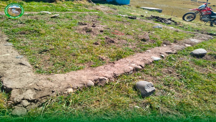 Asistencias Técnica en Construcción de Galpón de Gallinas