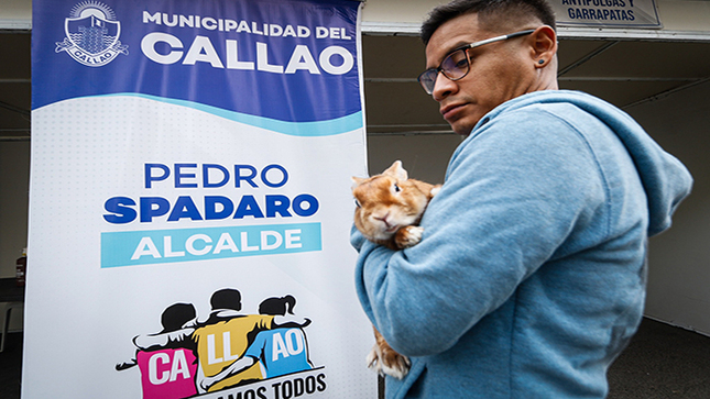mascotas felices