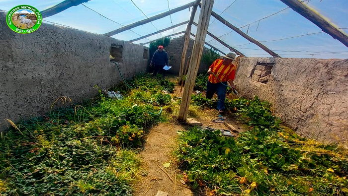 Construcción de Biohuertos del proyecto Seguridad Alimentaria
