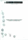 Vista preliminar de documento Anexo N° 172-2017-DV-PE