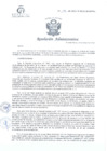 Vista preliminar de documento R.A. 177