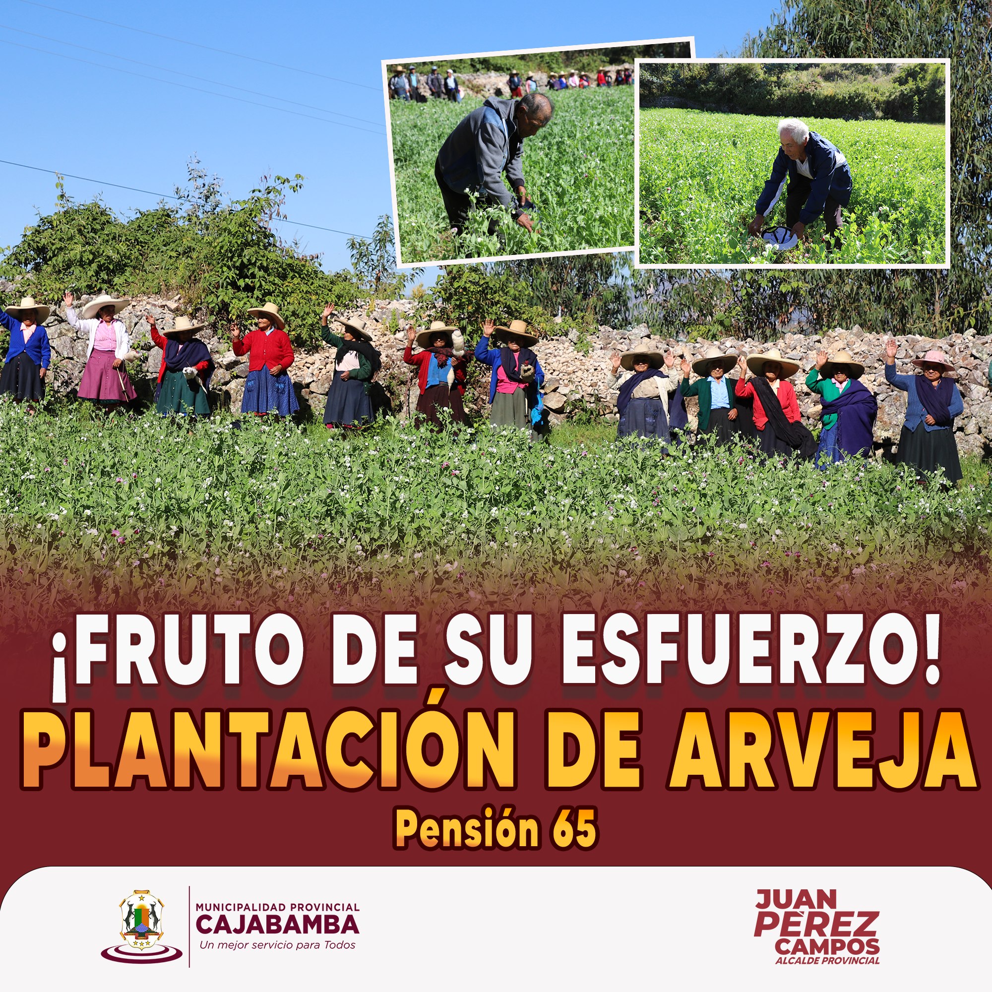 ¡Fruto de su esfuerzo!