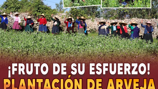 ¡Fruto de su esfuerzo!