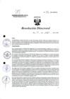 Vista preliminar de documento R.D. 911-2023