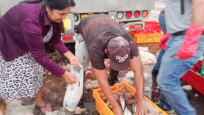 Municipio de Nepeña entregó pescado a la Grama y Nepeña