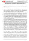 Vista preliminar de documento R.D 325