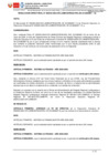 Vista preliminar de documento R.D 333