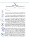 Vista preliminar de documento RES-293-2024-GR