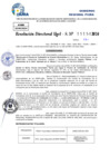 Vista preliminar de documento Resolucion Directoral N° 003455-2024