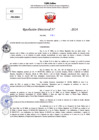 Vista preliminar de documento Resolucion Directoral N° 003458-2024