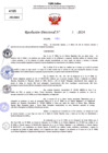 Vista preliminar de documento Resolucion Directoral N° 003463-2024