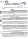 Vista preliminar de documento Resolucion Directoral N° 003473-2024
