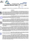 Vista preliminar de documento Resolucion Directoral N° 003493-2024
