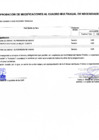 Vista preliminar de documento Anexo 6 Aprobación de Modificación al CMN N°0017