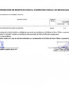 Vista preliminar de documento Anexo 6 Aprobación de Modificación al CMN N°0020