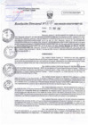 Vista preliminar de documento RD N°0080