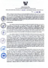 Vista preliminar de documento RDR N° 251-2024-22-05-2024
