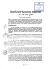 Vista preliminar de documento RER 270-2024-GOB